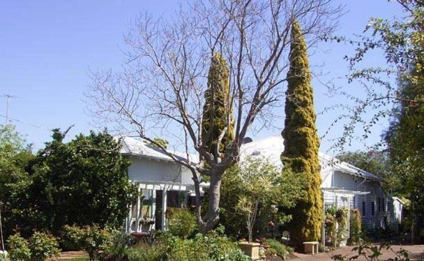 Jacaranda Guest House Busselton Luaran gambar